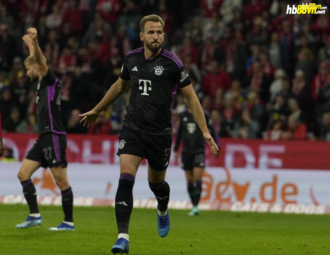Kane (phải) mừng bàn trong trận Bayern thắng 3-1 trên sân Mainz. Ảnh: FCB