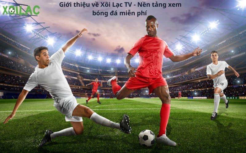 Xoilac TV 90phut: Xem bóng đá trực tiếp không giật lag